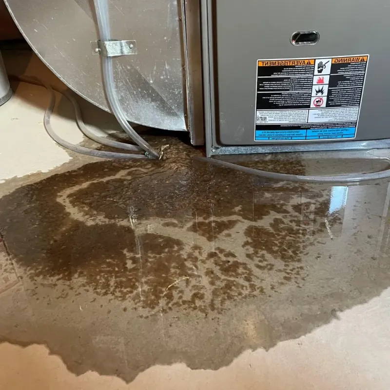 Pipe Burst and Leak Restoration in Tom Green County, TX