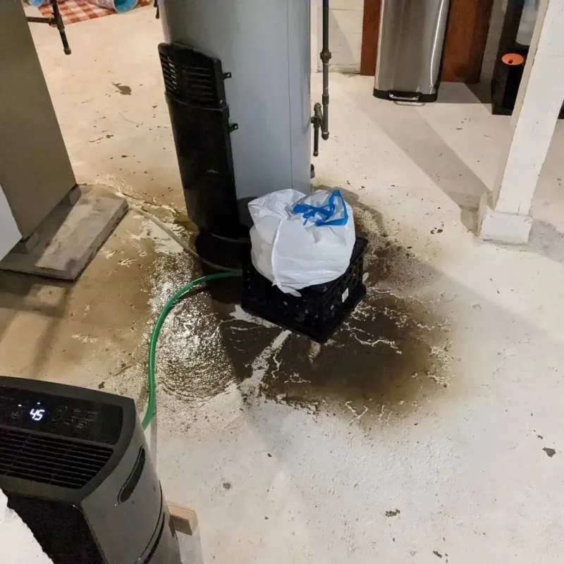 Sewage Backup Cleanup Service in Tom Green County, TX